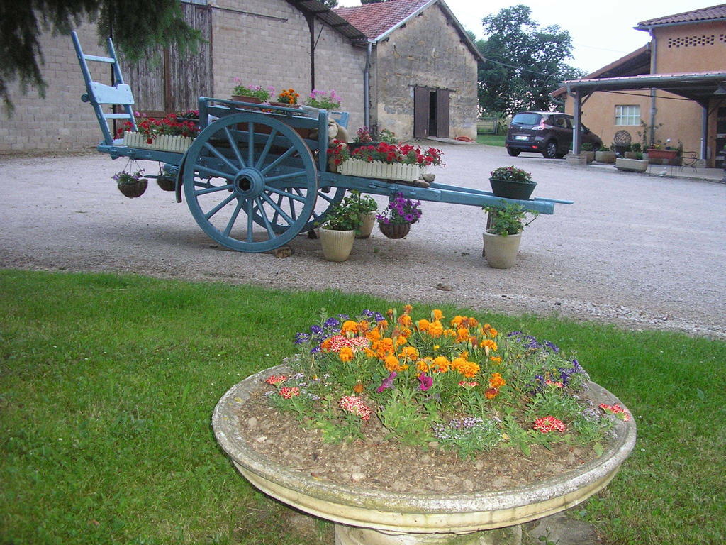 Hotel Domaine De La Belliere Villars-les-Dombes Exterior foto